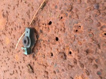 Growing trees and bushes?over the single skin oil tans are fine but toy can not see the tank 